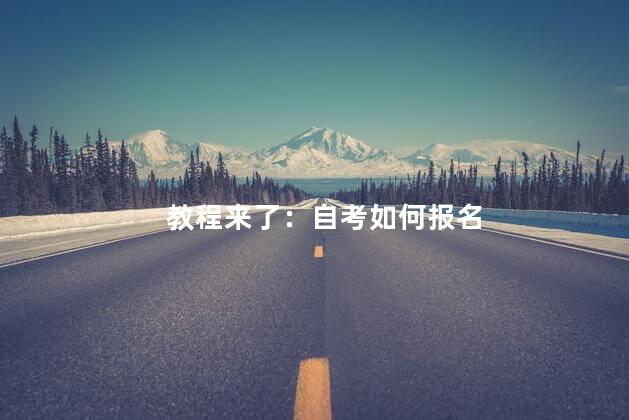 教程来了：自考如何报名