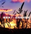 教程来了:自考如何报名