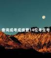 查询成考成绩要14位考生号
