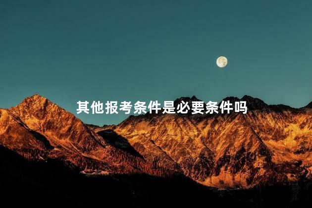 其他报考条件是必要条件吗