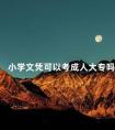 小学文凭可以考成人大专吗