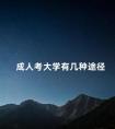 成人考大学有几种途径