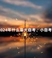 2024年什么是大自考、小自考