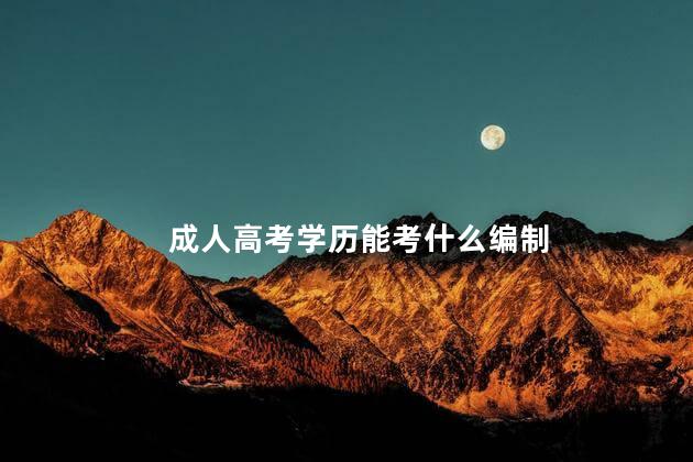 成人高考学历能考什么编制