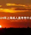2024年上海成人高考考什么