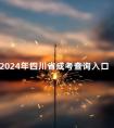 2024年四川省成考查询入口