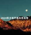 2024年大专升本科怎么考