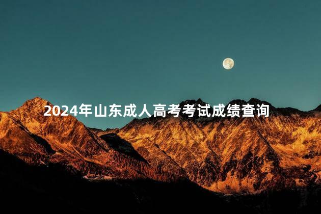 2024年山东成人高考考试成绩查询