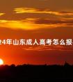 2024年山东成人高考怎么报名