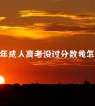 2024年成人高考没过分数线怎么办