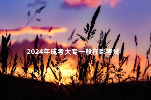 2024年成考大专一般在哪考试
