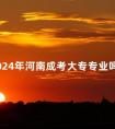 2024年河南成考大专专业吗