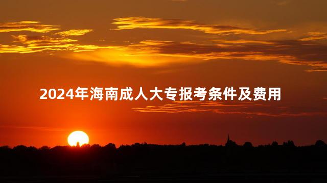 2024年海南成人大专报考条件及费用