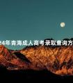 2024年青海成人高考录取查询方法