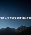 2024成人大专语文必考知识点集合