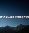 2024广西成人高考成绩查询方式是怎样的