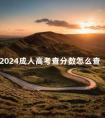 2024成人高考查分数怎么查