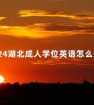 2024湖北成人学位英语怎么过
