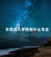 东莞成人学校有什么专业