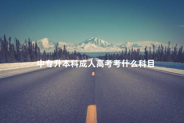 中专升本科成人高考考什么科目
