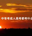 中专考成人高考都考什么