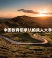 中国教育部承认的成人大学