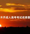 乌鲁木齐成人高考考试成绩查询时间