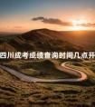 四川成考成绩查询时间几点开始