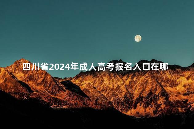 四川省2024年成人高考报名入口在哪里