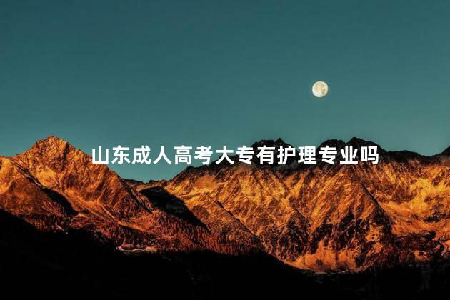 山东成人高考大专有护理专业吗