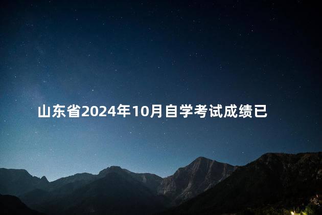 山东省2024年10月自学考试成绩已发布