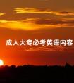 成人大专必考英语内容