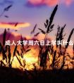 成人大学周六日上学叫什么