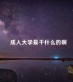 成人大学是干什么的啊