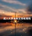 成人大学本科文凭有用吗