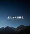 成人本科叫什么