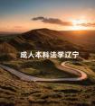 成人本科法学辽宁