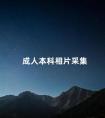 成人本科相片采集