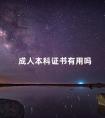 成人本科证书有用吗