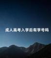 成人高考入学后有学号吗