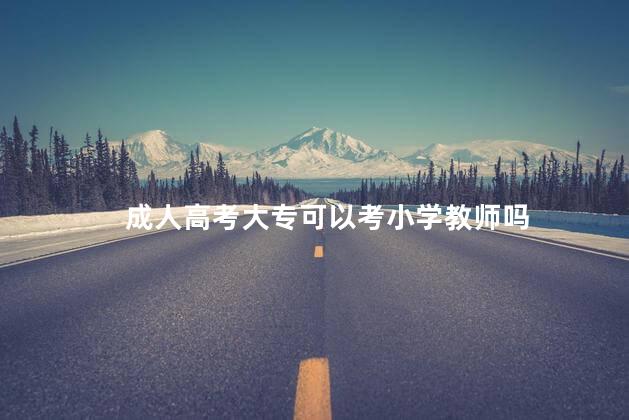 成人高考大专可以考小学教师吗