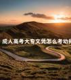 成人高考大专文凭怎么考幼师