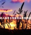 成人高考大专是怎么考取的证书