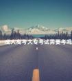 成人高考大专考试需要考吗