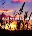 成人高考考研报名入口在哪