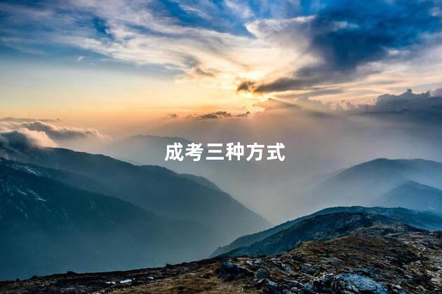成考三种方式