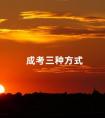 成考三种方式