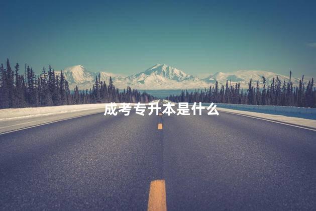 成考专升本是什么