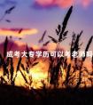 成考大专学历可以考老师吗