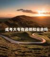 成考大专有函授和业余吗